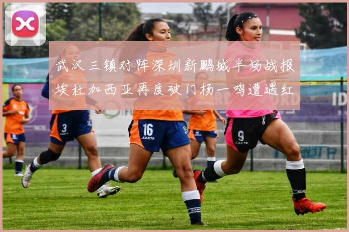武汉三镇对阵深圳新鹏城半场战报埃杜加西亚再度破门杨一鸣遭遇红牌处罚