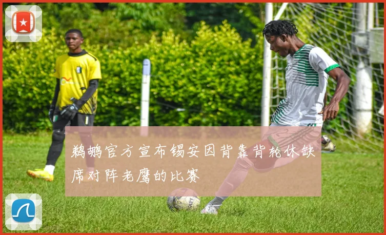 鹈鹕官方宣布锡安因背靠背轮休缺席对阵老鹰的比赛