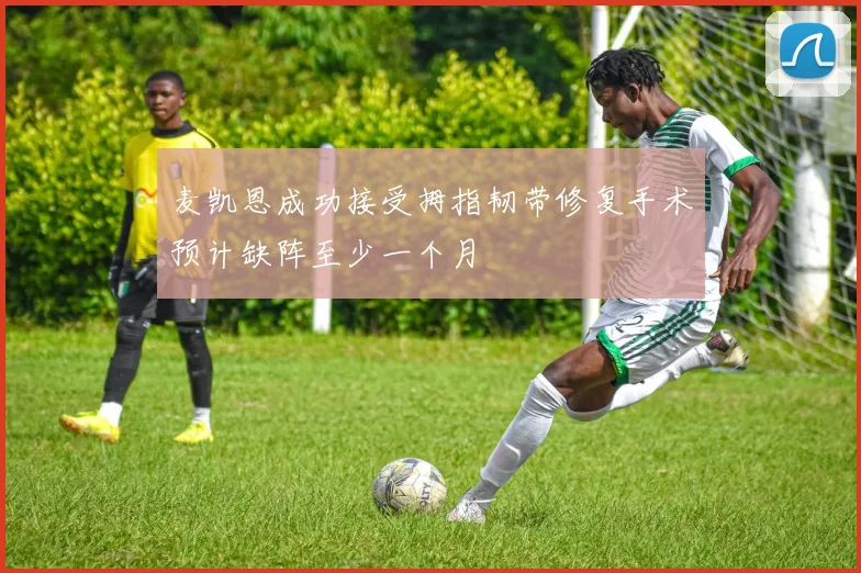 麦凯恩成功接受拇指韧带修复手术预计缺阵至少一个月