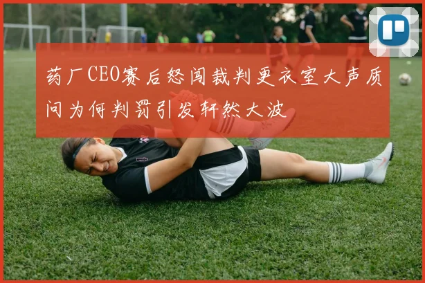 药厂CEO赛后怒闯裁判更衣室大声质问为何判罚引发轩然大波